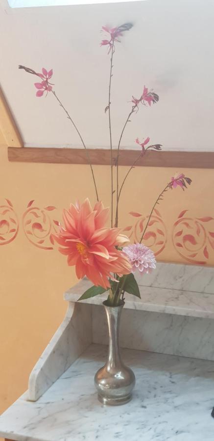 Bed and Breakfast Le Moulin Hodoux Luynes  Exterior foto